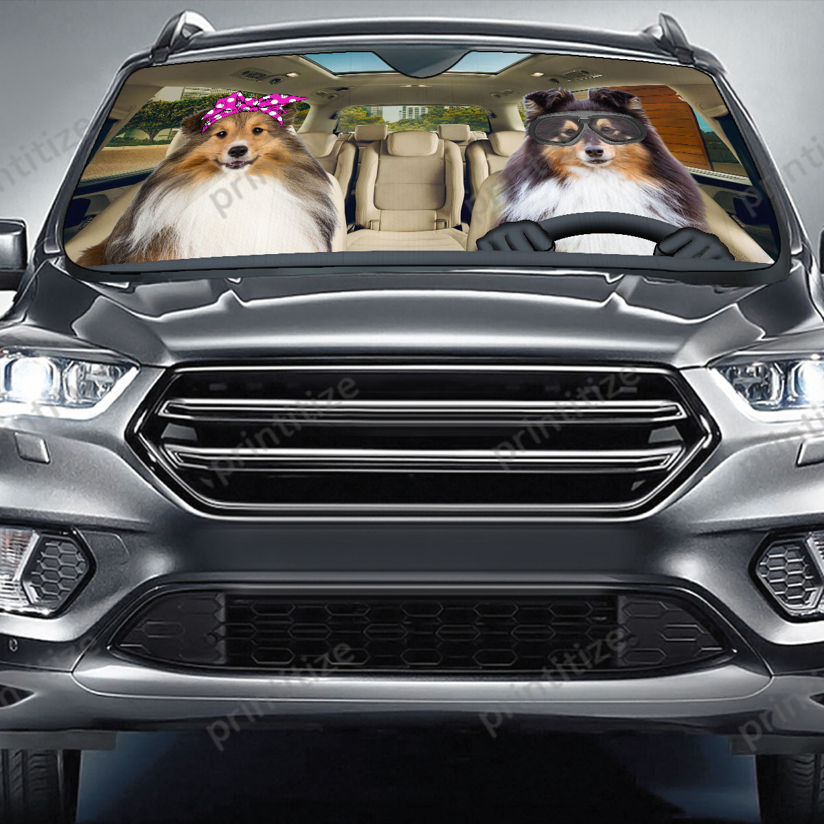Shetland Dogs Driving Funny Sun Shade